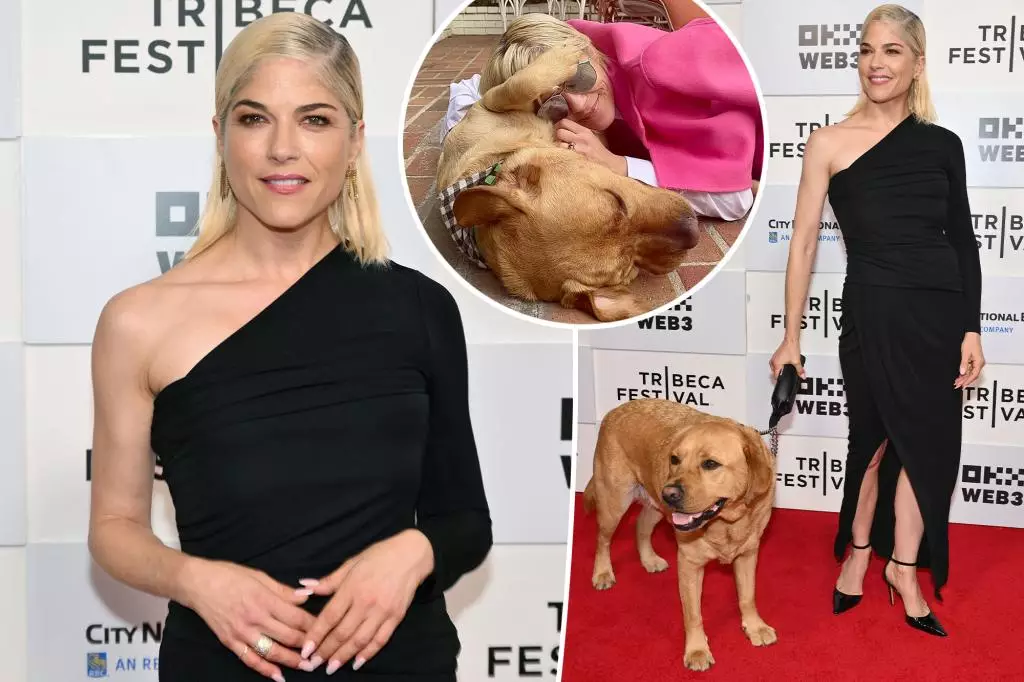 Overcoming Challenges: Selma Blair’s Inspiring Journey with Multiple Sclerosis