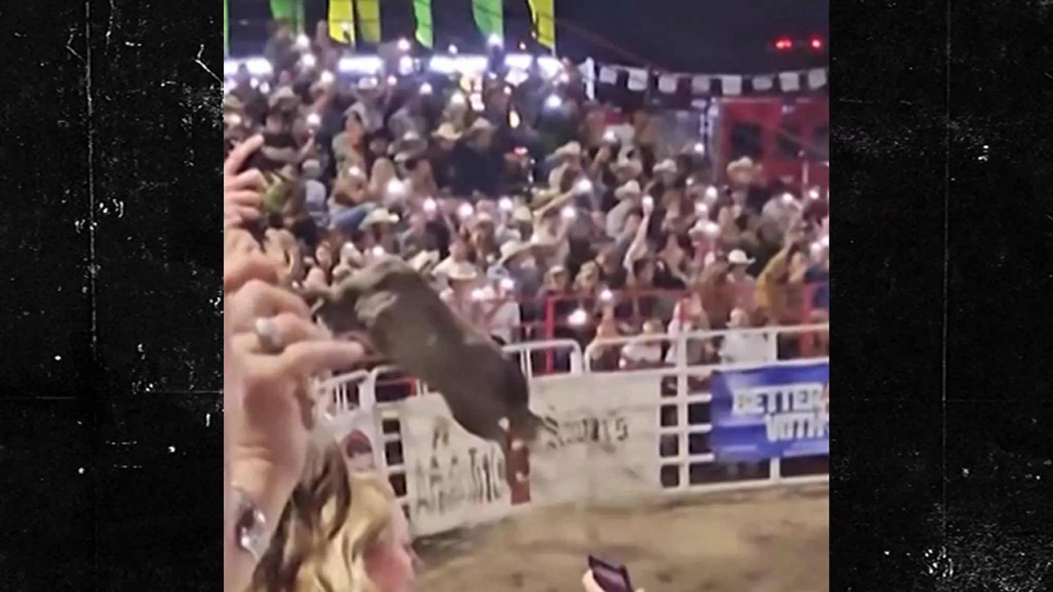 Rehabilitation Plan for the Bull Involved in Oregon Rodeo Rampage