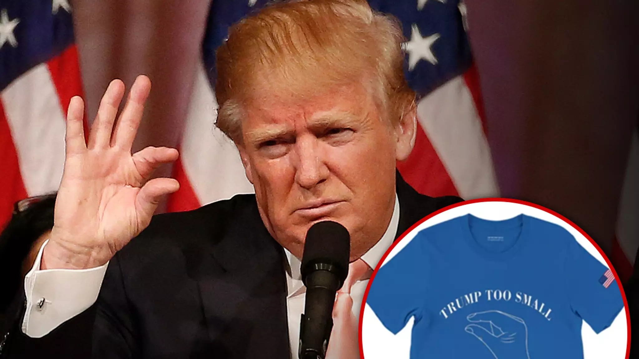 The Legal Battle Over “Trump Too Small” Merchandise