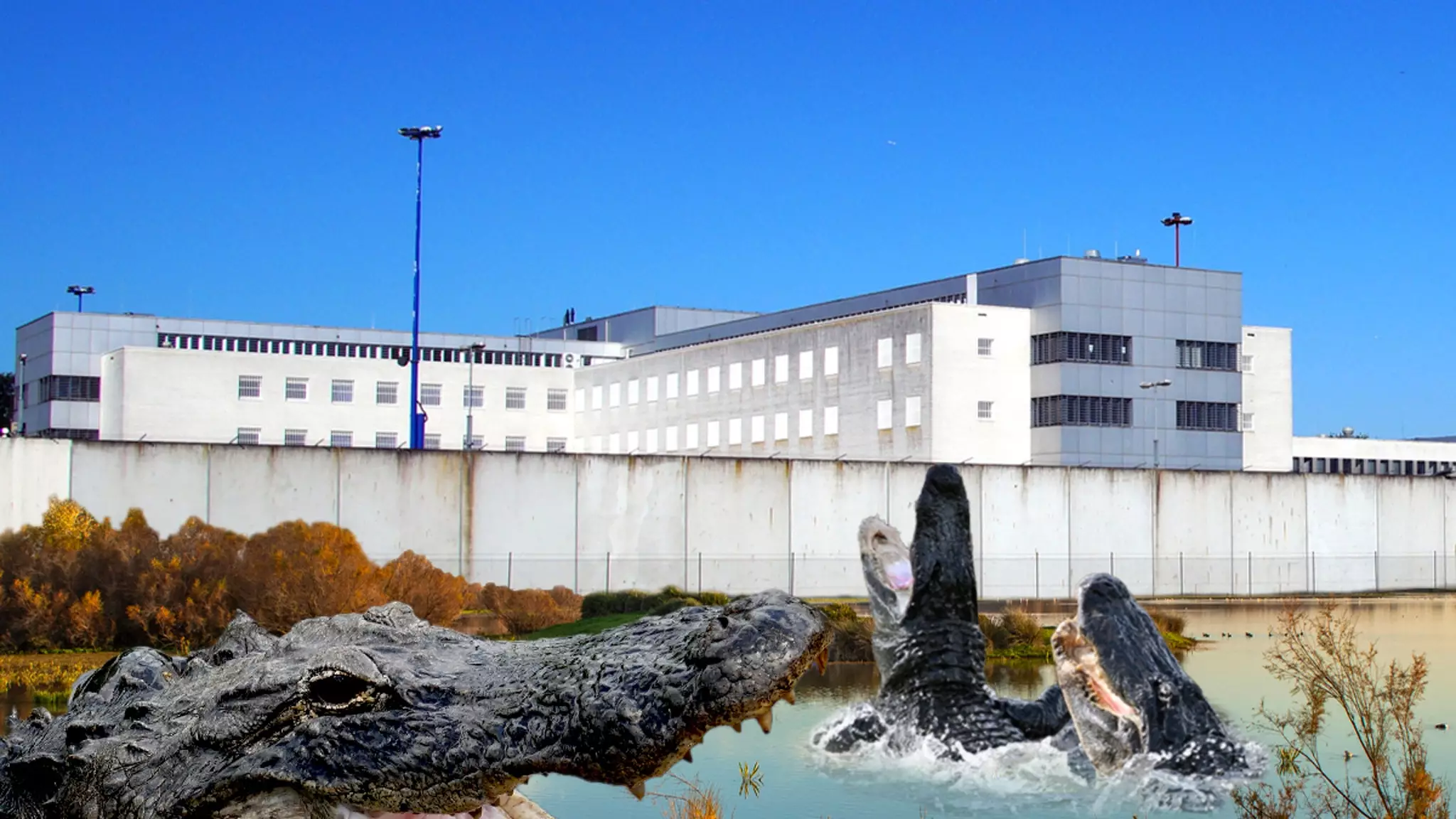 The Alligator Alcatraz: A Pioneering yet Precarious Immigration Detention Proposal