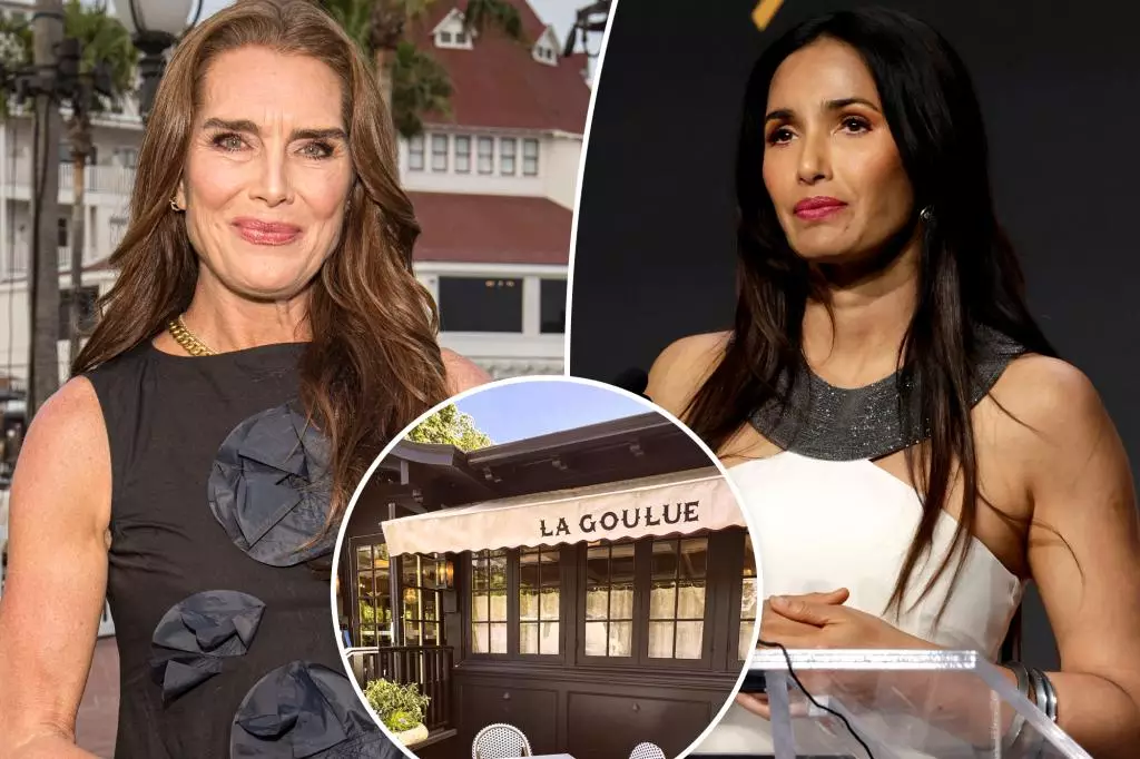 Hamptons’ Newest Hotspot Sparks Buzz and Confusion